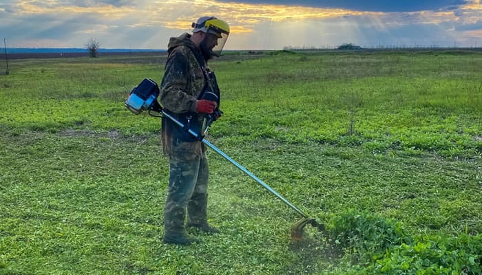 4 Natural Ways to Kill the Lawn Weeds