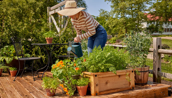 6 Steps to Start a Container Garden on a Small Patio or Backyard