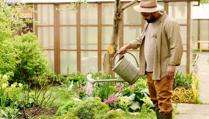 How to Maintain Your Garden? 10 Ways