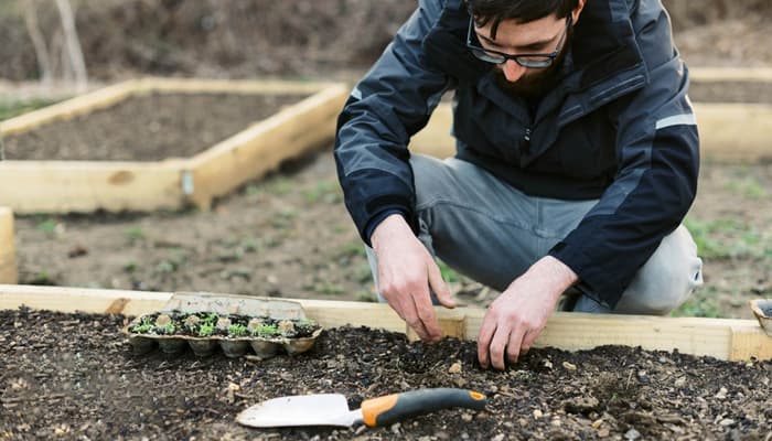 What is the Best Time to Start Planning Your Garden?