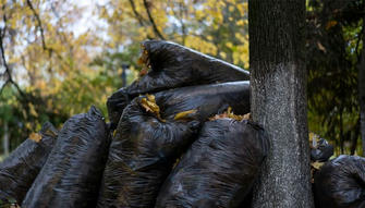 5 Different Ways to Utilize Your Garden Waste