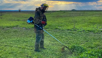4 Natural Ways to Kill the Lawn Weeds